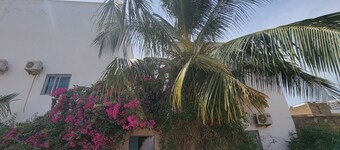 DOLMEN DE M'BOUR - ACE LOCATION ★ SUNNY & MODERN + ROOFTOP POOL