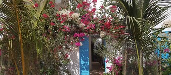 DOLMEN DE M'BOUR - ACE LOCATION ★ SUNNY & MODERN + ROOFTOP POOL