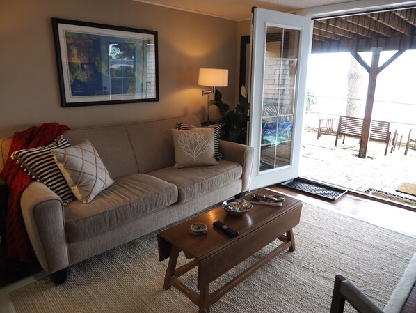 TV, fireplace, books