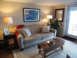 TV, fireplace, books