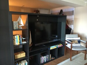 TV, fireplace, books