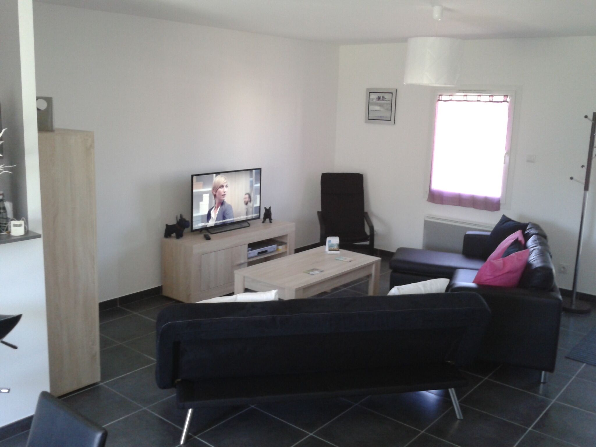 TV, DVD player, books