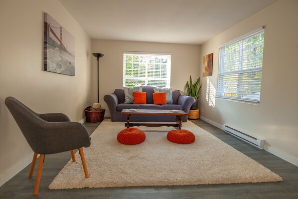 Smart TV, fireplace, books, stereo