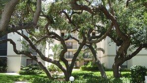 A pathway surrounded by lush greenery and large trees, leading to a multi-story building with balconies. - Siesta Key 2 Bedroom Condo  (Siesta Key)