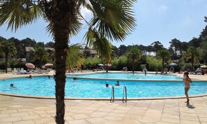 A swimming pool with multiple lanes, surrounded by palm trees and lounge chairs. - T2 "turquoise" ONDRES PLAGE with pool and tennis (Ondres)