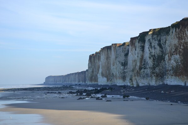 Beach nearby - 15 min from the sea / in Normandy / rooms with bathroom and WC / beds made without extra charge (Doudeville)