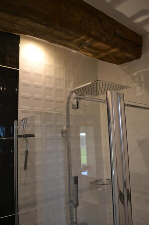 Shower, hair dryer, towels, toilet paper