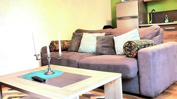 LCD TV, DVD player, books