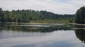 A calm lake with a forested shoreline and a clear sky. - Lakeside Cottage, Fishing, Canoe & Kayak, Pet Friendly, Golf and Hiking Nearby (Crofton)
