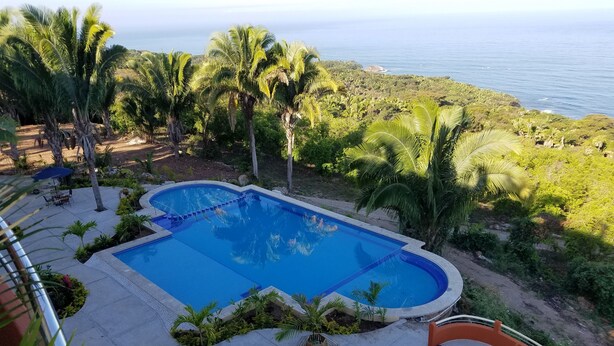 Une piscine avec vue sur l’océan, entourée de palmiers et dotée d’un espace patio avec des chaises et un parasol.