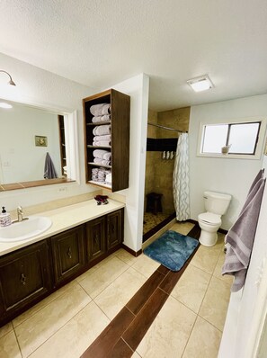 Shower, free toiletries, hair dryer, towels - Home away from Home!!  (Boise)