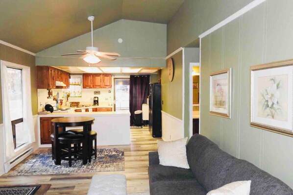 Smart TV, fireplace, Netflix, books