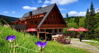 Ski Hotel Stoh