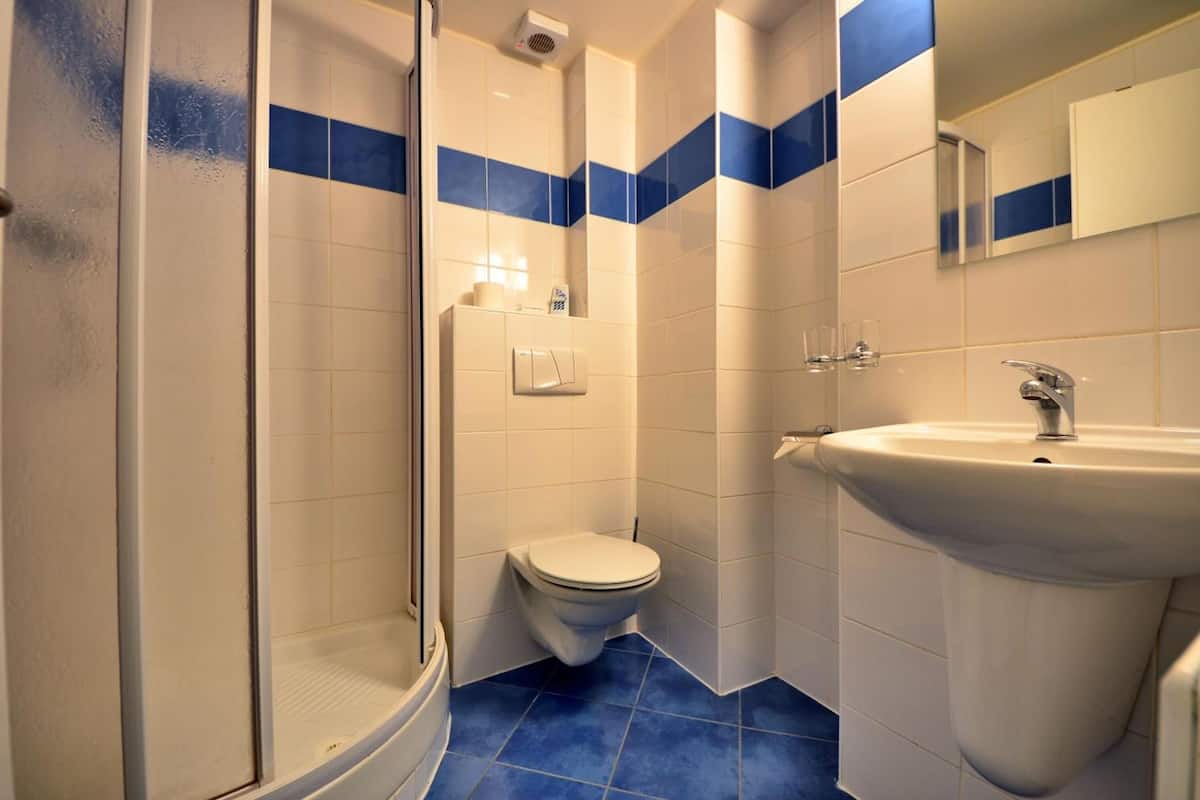 shower, free toiletries, hair dryer, towels