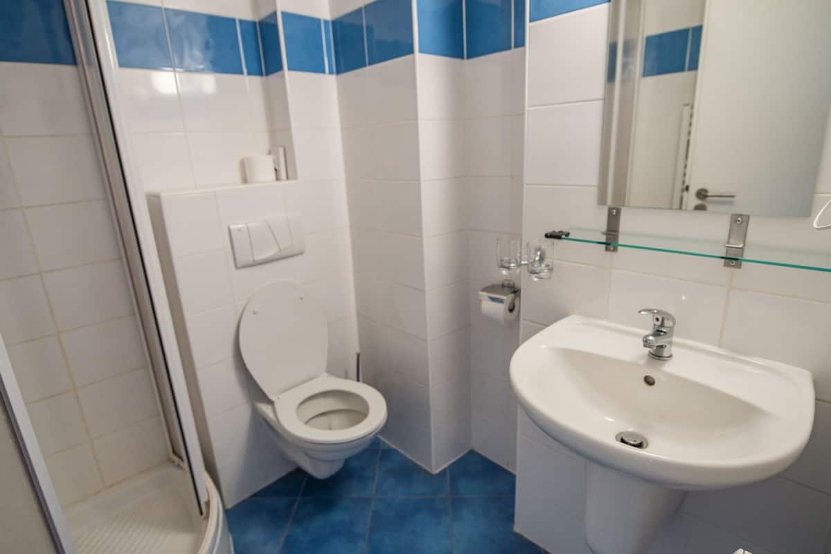 shower, free toiletries, hair dryer, towels