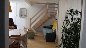 TV, DVD player, books, video library