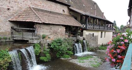 Field of the Old Sawmill Cottage 3 *