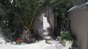 Un sendero de piedra que lleva a una escalera, rodeado de plantas en macetas y una pequeña piscina.