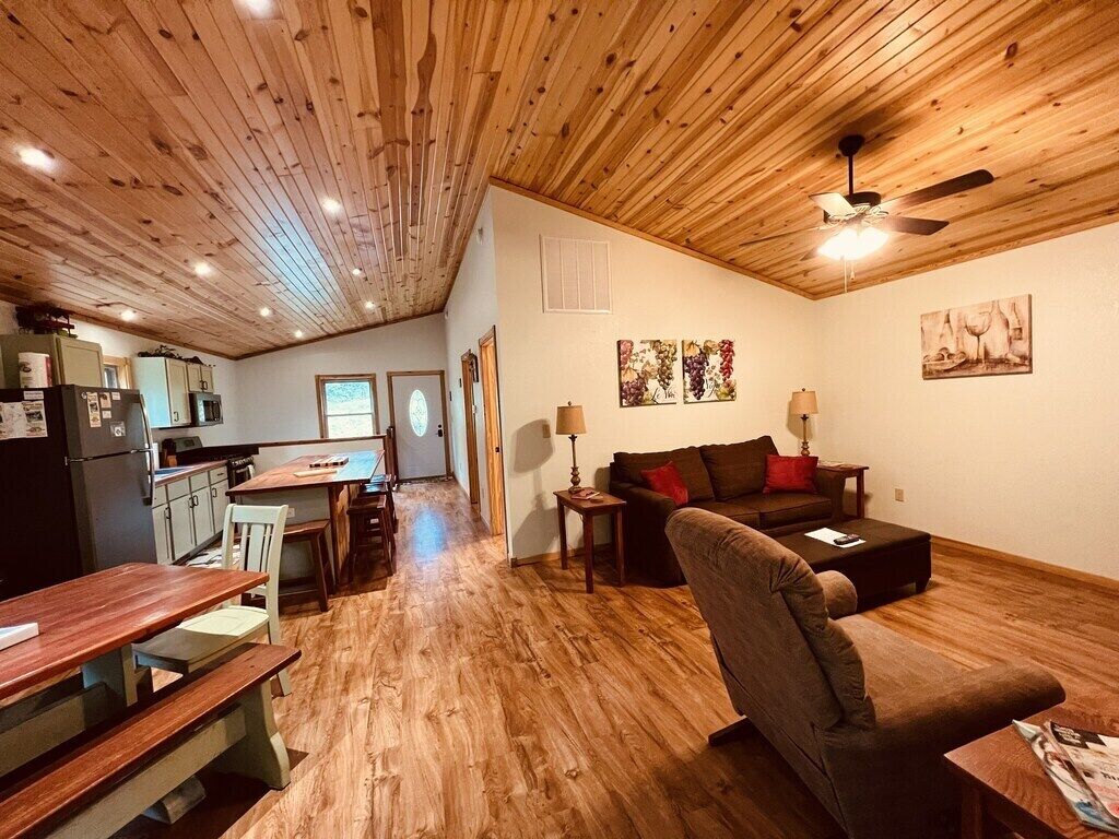 TV connectée, cheminée, lecteur de DVD, livres