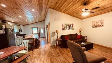 Smart TV, fireplace, DVD player, books