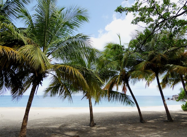 Plage à proximité
