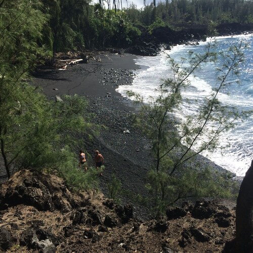 Tropical Tree Guest Cottage near Pahoa, Hawaii