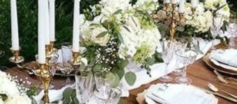 Garden Oasis Near Downtown