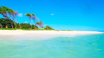 Playa en los alrededores y camastros