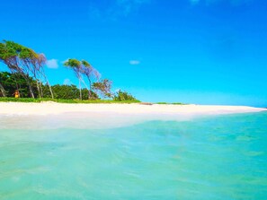 A beach with clear turquoise water, white sand, and green foliage.
