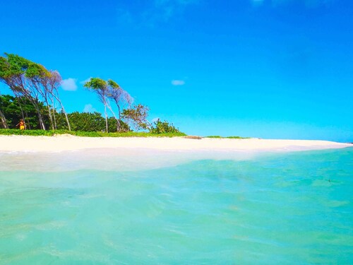 BEAUTIFUL FURNISHED TOURIST (T3 SQUILLE), QUIET IN THE SOUTH NEAR THE BEAUTIFUL BEACH