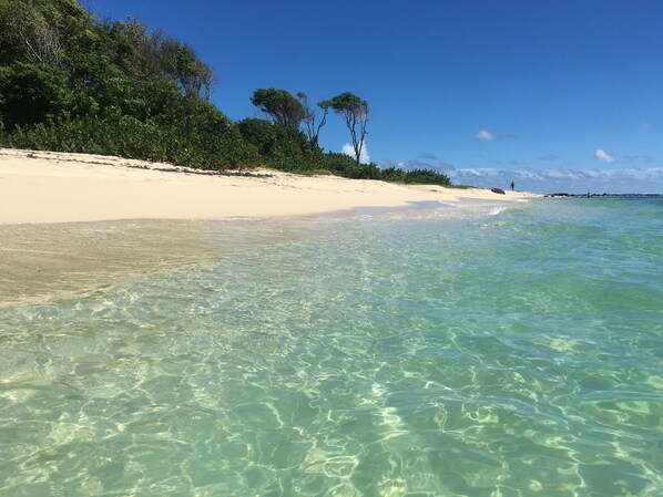 Beach nearby, sun loungers