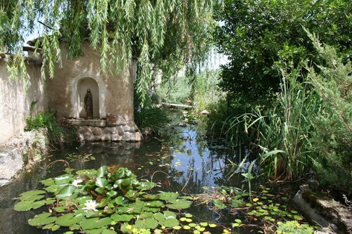 holiday park vines pool jacuzzi sauna steam room in beautiful park