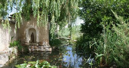 holiday park vines pool jacuzzi sauna steam room in beautiful park