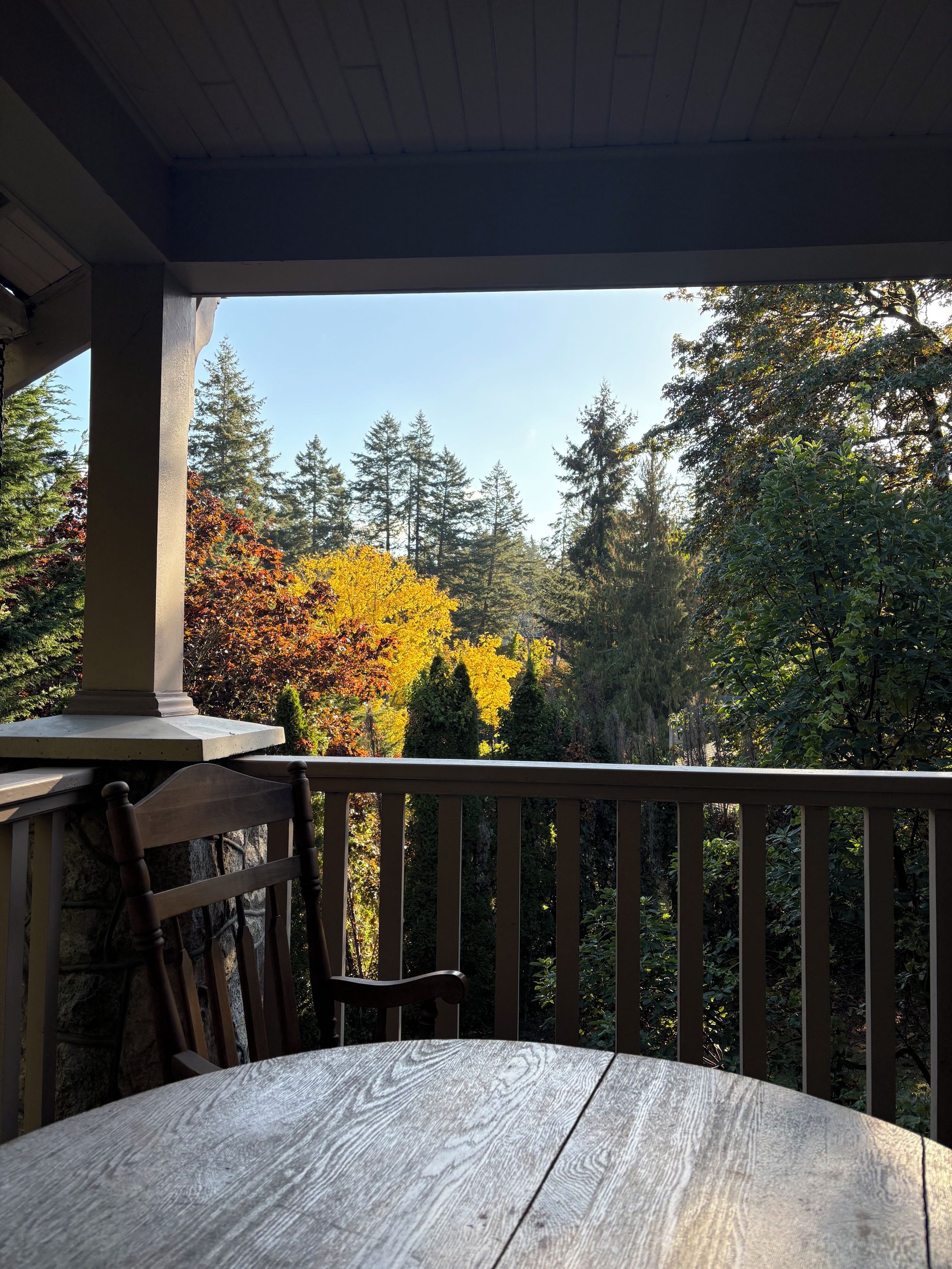 Une terrasse en bois avec une table et des chaises, donnant sur une forêt aux couleurs automnales.