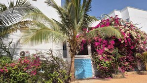 A white building with a palm tree and pink bougainvillea in front. - DOLMEN DE M'BOUR - Your next dream vacation, 5 min from the ocean (M'bour)