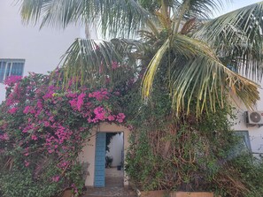 Un edificio con puerta azul, rodeado de exuberante follaje y flores rosadas.