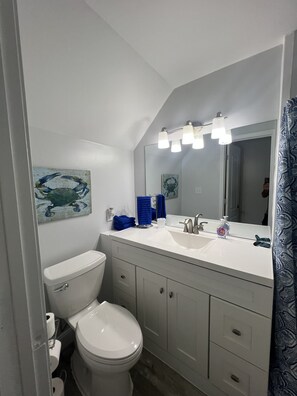 Ensemble douche/baignoire, sĂšche-cheveux, serviettes fournies, savon