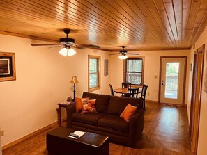 Smart TV, fireplace, DVD player, books
