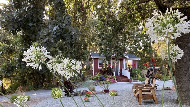 A house surrounded by a garden with gravel paths, a wooden bench, and various plants. - ~AMITABHA~ Wine Country Cottage! Perfectly Located in Santa Rosa (Santa Rosa)