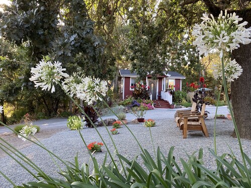 ~AMITABHA~ Wine Country Cottage! Perfectly Located in Santa Rosa