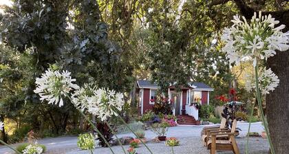 ~AMITABHA~ Wine Country Cottage! Perfectly Located in Santa Rosa