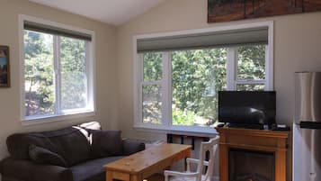 Télévision, cheminée, lecteur de DVD