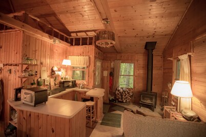 Located at the Heart of the Solana State Forest in Amongst the Forest Trees