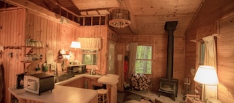 Located at the Heart of the Solana State Forest in Amongst the Forest Trees