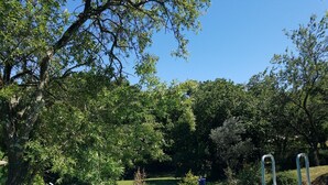 Piscina rodeada por árvores e uma área gramada.