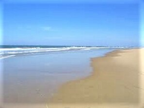 Une plage avec un ciel dégagé et une mer calme.