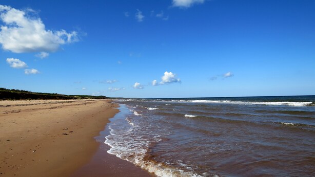 Une plage avec un rivage sablonneux et des vagues douces.