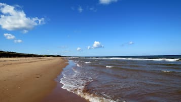 Una spiaggia nelle vicinanze