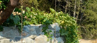 A-Frame, Off-Grid, Rustic Cabin