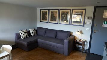 Smart TV, DVD player, books